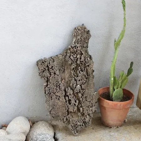 Apartament Les Jardins De Porto Pollo