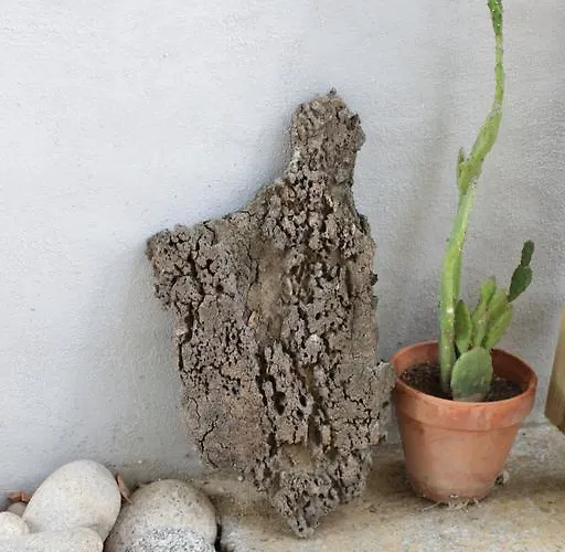 Appartement Les Jardins De Porto Pollo